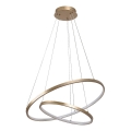 Rabalux - LED dimeriuojama liustra ant laido LED/75W/230V 3000-6500K + nuotolinis valdymas