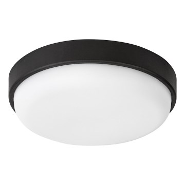 Rabalux - LED Lauko lubinis šviestuvas LED/14W/230V IP54 juodas