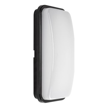 Rabalux - LED Lauko sieninis šviestuvas LED/20W/230V 4000K IP65