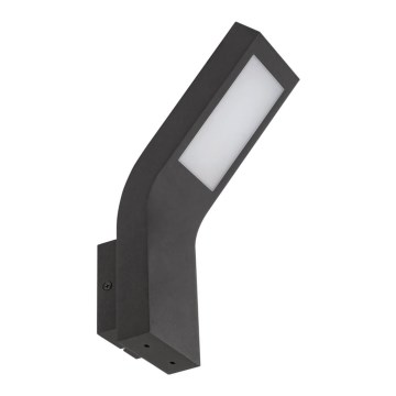 Rabalux - LED Lauko sieninis šviestuvas LED/9W/230V IP44