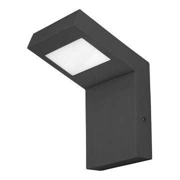 Rabalux - LED Lauko sieninis šviestuvas LED/9W/230V IP44