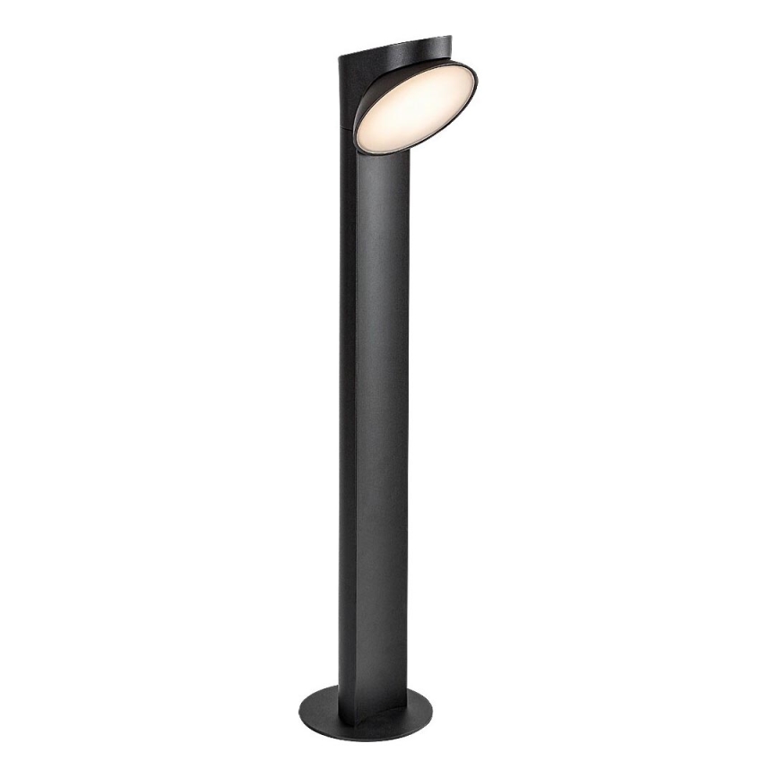 Rabalux - LED lauko šviestuvas LED/12W/230V IP54