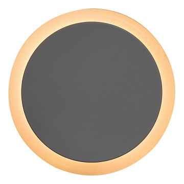 Rabalux - LED Lizdinė naktinė lemputė su prieblandos jutikliu LED/0,3W/230V 3000K