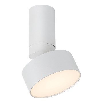 Rabalux - LED lubinis šviestuvas LED/10W/230V 3000K balta