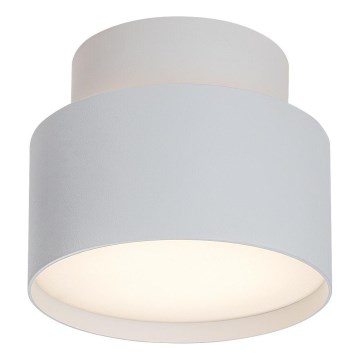 Rabalux - LED lubinis šviestuvas LED/16W/230V 3000K balta