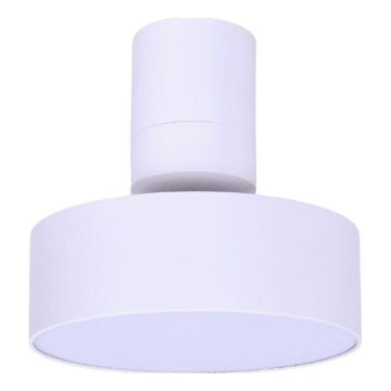 Rabalux - LED lubinis šviestuvas LED/16W/230V 3000K balta