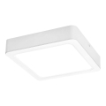 Rabalux - LED lubinis šviestuvas LED/18W/230V 17x17 cm