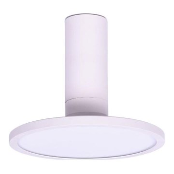 Rabalux - LED lubinis šviestuvas LED/20W/230V 3000K balta