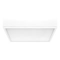 Rabalux - LED lubinis šviestuvas LED/22W/230V 3000/4000/6000K 21x21 cm balta