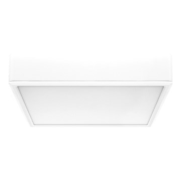 Rabalux - LED lubinis šviestuvas LED/22W/230V 3000/4000/6000K 21x21 cm balta