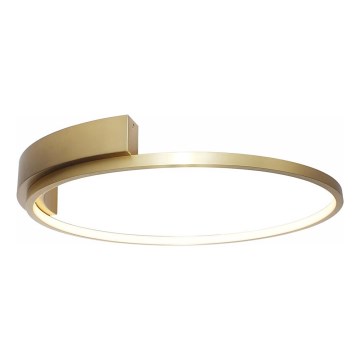 Rabalux - LED lubinis šviestuvas LED/23W/230V