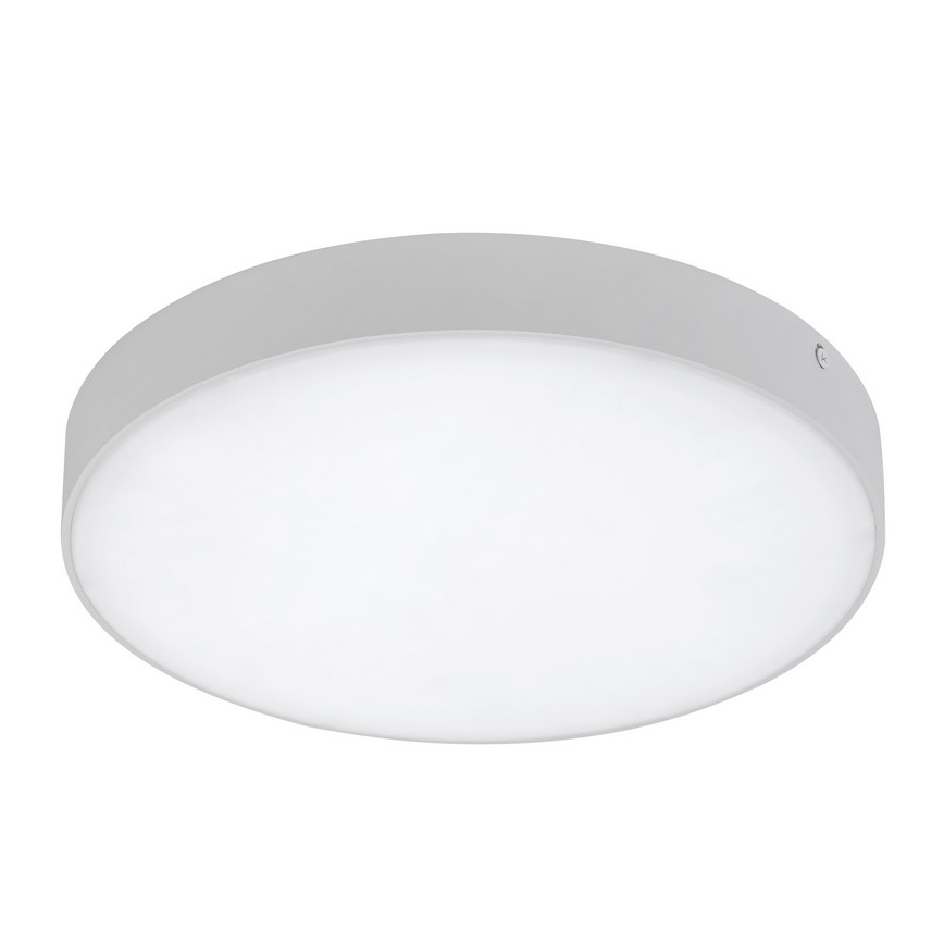 Rabalux - LED lubinis šviestuvas LED/24W/230V 2800-6000K IP44 baltas, skersmuo 30 cm