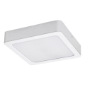 Rabalux - LED lubinis šviestuvas LED/24W/230V 3000K 22x22 cm balta