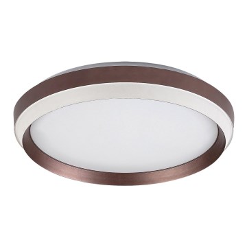 Rabalux - LED lubinis šviestuvas LED/24W/230V 3000K