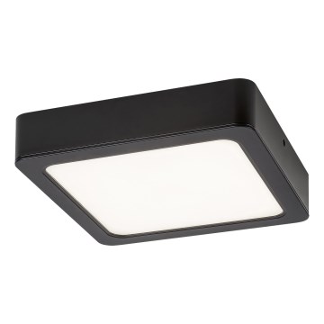 Rabalux - LED lubinis šviestuvas LED/24W/230V 4000K 22x22 cm juoda