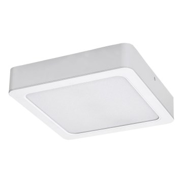 Rabalux - LED lubinis šviestuvas LED/7W/230V 3000K 12x12 cm balta