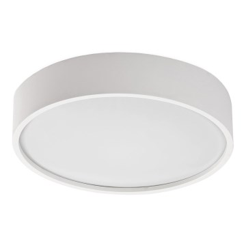 Rabalux - LED lubinis šviestuvas su sensoriumi LED/19W/230V IP44 4000K skersmuo 28,5 cm baltas