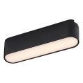 Rabalux - LED Lubinis šviestuvas vienfazės bėginės sistemos LED/6W/230V 3000K 11,5 cm juoda