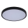 Rabalux - LED lubinis vonios šviestuvas LED/12W/230V 3000/4000/6000K IP44 diametras 25,5 cm juoda