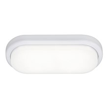 Rabalux - LED lubinis vonios šviestuvas LED/15W IP54
