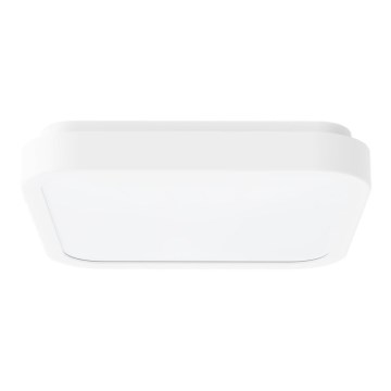 Rabalux - LED lubinis vonios šviestuvas LED/18W/230V IP44 4000K 25x25 cm balta