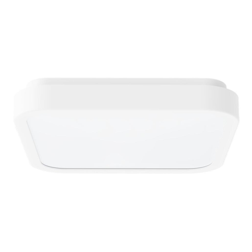 Rabalux - LED lubinis vonios šviestuvas LED/18W/230V IP44 4000K 25x25 cm balta