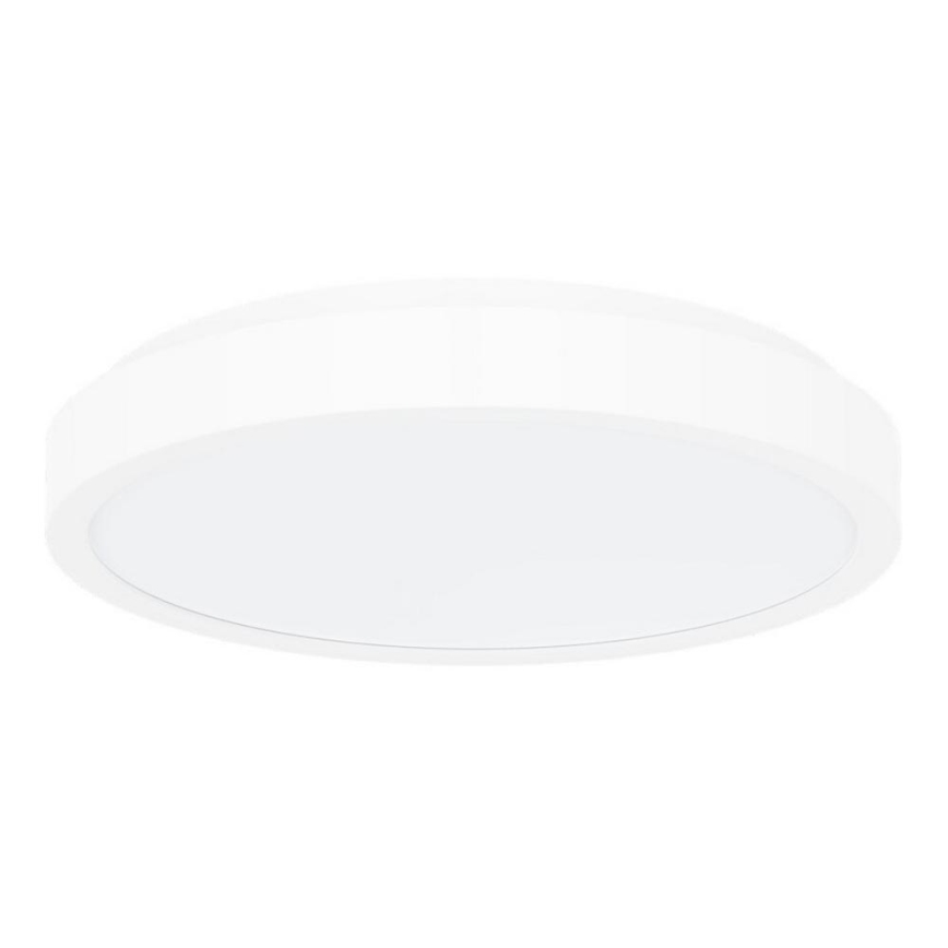Rabalux - LED lubinis vonios šviestuvas LED/36W/230V IP44 4000K diametras 35 cm balta