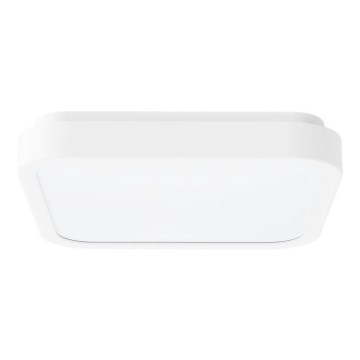 Rabalux - LED lubinis vonios šviestuvas LED/48W/230V IP44 4000K 42x42 cm balta