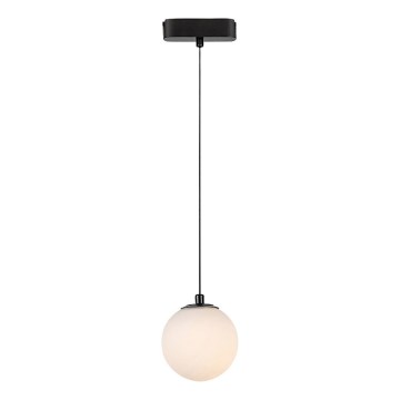 Rabalux - LED Pakabinamas sietynas 1-fazės bėgių sistemai LED/5W/230V 3000K juoda