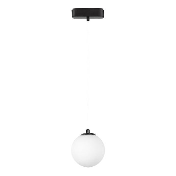 Rabalux - LED Pakabinamas sietynas 1-fazės bėgių sistemai LED/5W/230V 4000K juoda