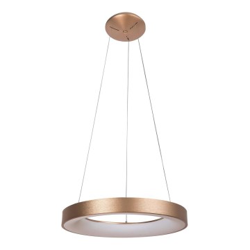 Rabalux - LED Pakabinamas sietynas CARMELLA LED/50W/230V diametras 60 cm