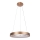 Rabalux - LED Pakabinamas sietynas CARMELLA LED/50W/230V diametras 60 cm