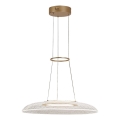 Rabalux - LED pakabinamas šviestuvas ant laido LED/24W/230V 3000K