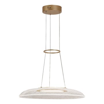 Rabalux - LED pakabinamas šviestuvas ant laido LED/24W/230V 3000K