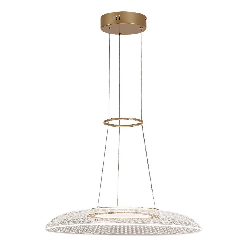 Rabalux - LED pakabinamas šviestuvas ant laido LED/24W/230V 3000K