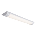 Rabalux - LED po spintelėmis šviestuvas LED/18W/230V 60 cm