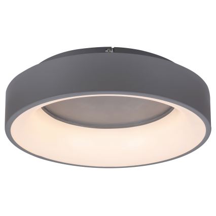 Rabalux - LED Pritemdomas lubinis šviestuvas LED/24W/230V apvalus 3000-6000K + nuotolinio valdymo pultas