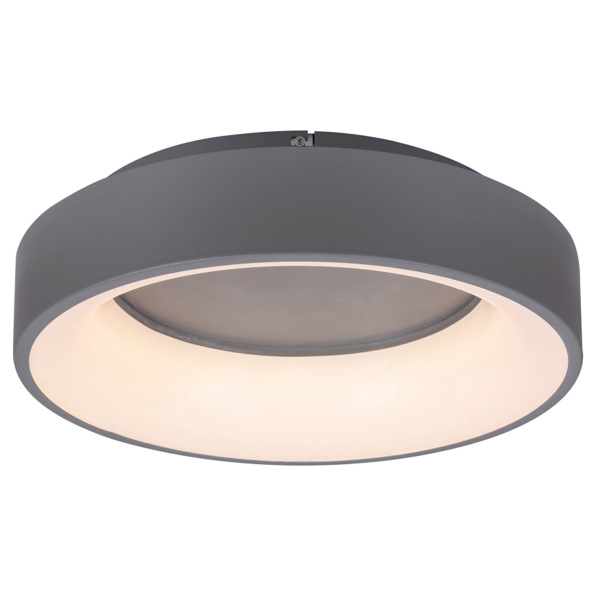 Rabalux - LED Pritemdomas lubinis šviestuvas LED/24W/230V apvalus 3000-6000K + nuotolinio valdymo pultas