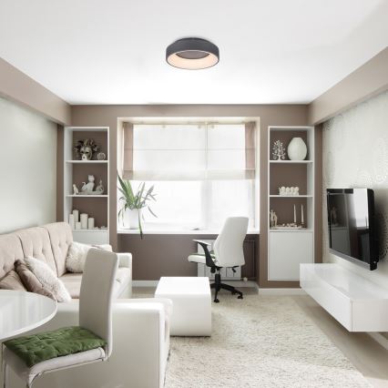 Rabalux - LED Pritemdomas lubinis šviestuvas LED/24W/230V apvalus 3000-6000K + nuotolinio valdymo pultas