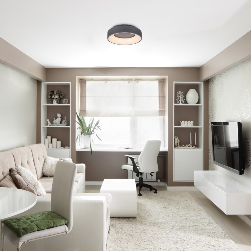 Rabalux - LED Pritemdomas lubinis šviestuvas LED/24W/230V apvalus 3000-6000K + nuotolinio valdymo pultas