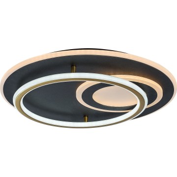 Rabalux - LED pritemdomas lubinis šviestuvas LED/60W/230V 3000-6000K skersmuo 50 cm + nuotolinis valdymas