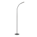 Rabalux - LED reguliuojama lietimui jautri pastatoma lempa LED/10W/230V 3000-6000K juoda