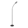 Rabalux - LED reguliuojama lietimui jautri pastatoma lempa LED/11W/230V 3000K