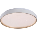 Rabalux - LED reguliuojamas lubinis šviestuvas LED/34W/230V 3000-6500K, skersmuo 38 cm, su nuotoliniu valdymu