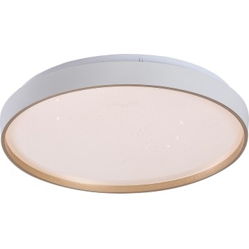 Rabalux - LED reguliuojamas lubinis šviestuvas LED/34W/230V 3000-6500K, skersmuo 38 cm, su nuotoliniu valdymu