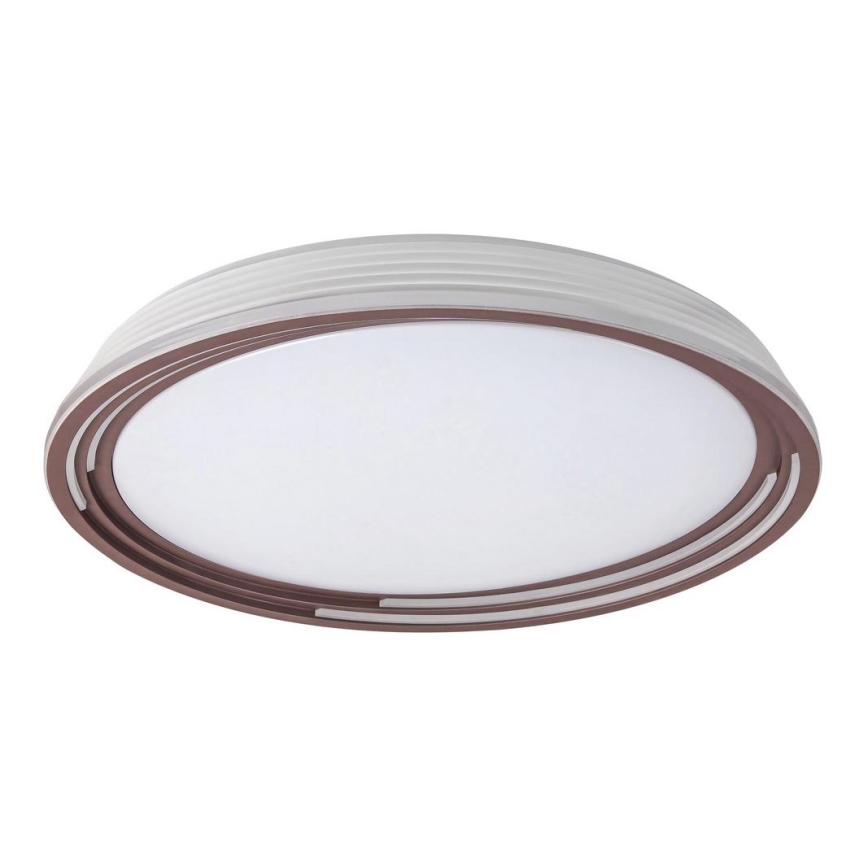 Rabalux - LED Reguliuojamas lubinis šviestuvas LED/36W/230V