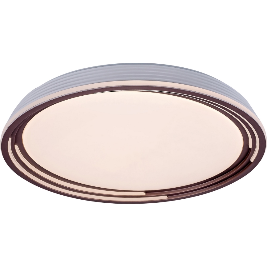 Rabalux - LED Reguliuojamas lubinis šviestuvas LED/36W/230V