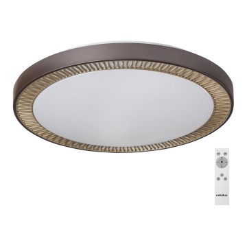 Rabalux - LED Reguliuojamas lubinis šviestuvas LED/40W/230V + VP 3000-6000K