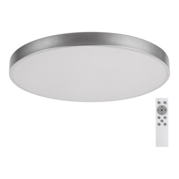 Rabalux - LED Reguliuojamas lubinis šviestuvas TESIA LED/60W/230V 60 cm + VP