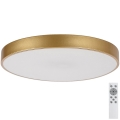 Rabalux - LED reguliuojamas lubų šviestuvas LED/60W/230V 3000-6000K su nuotoliniu valdymu
